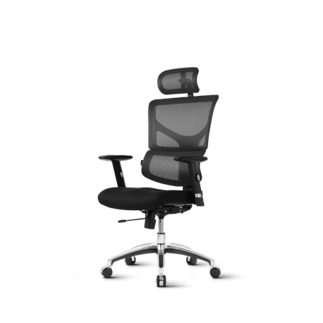 Pisarniški stol Ergovision SMART BASIC črn