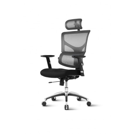 Pisarniški stol Ergovision SMART BASIC črno/siv