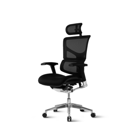 Pisarniški stol Ergovision SMART PLUS, črn