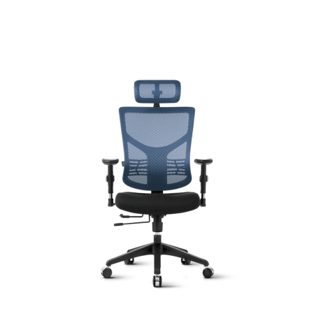 Pisarniški stol Ergovision Essent, modro/črn