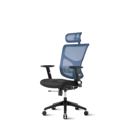 Pisarniški stol Ergovision Essent, modro/črn