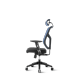 Pisarniški stol Ergovision Essent, modro/črn