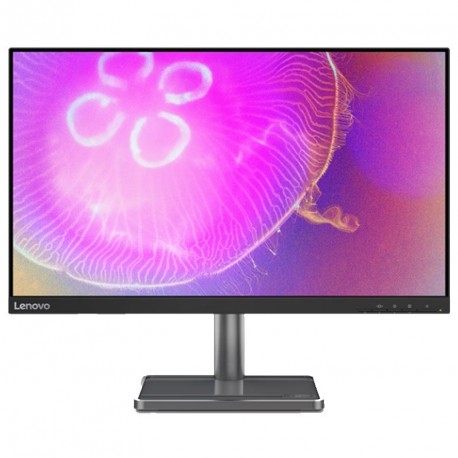 Monitor LENOVO D24q-35