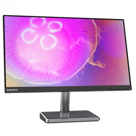 Monitor LENOVO D24q-35