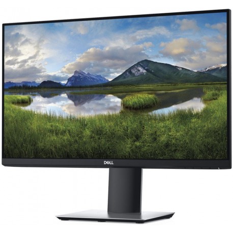 Monitor Dell 24 Pro - P2421D