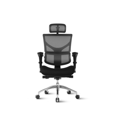 Pisarniški stol Ergovision SMART črn