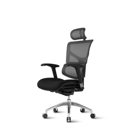 Pisarniški stol Ergovision SMART, črn