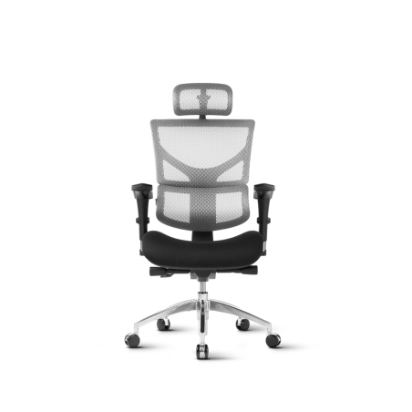 Pisarniški stol Ergovision SMART črno/siv