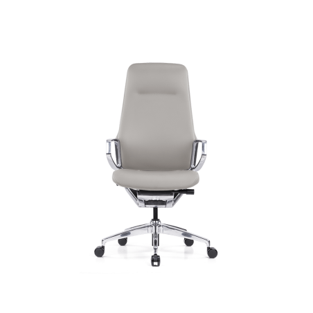 Pisarniški stol Ergovision Elite, siva