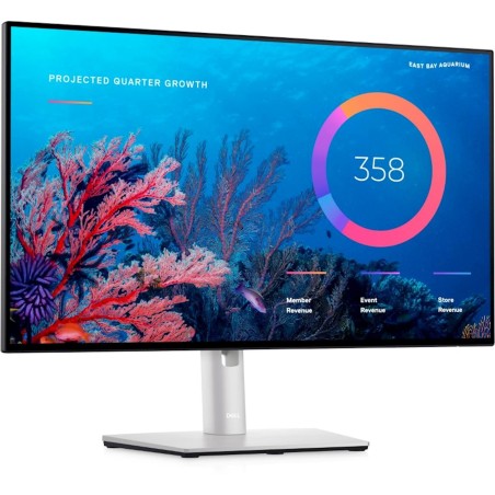 Monitor DELL U2424HE