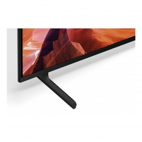 Televizor SONY FWD-55X80L