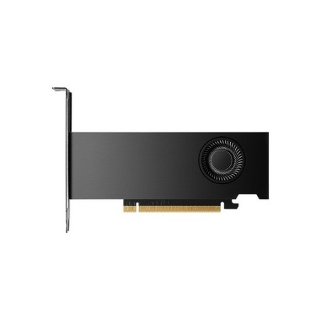 Grafična kartica NVIDIA RTX 2000 Ada 16GB