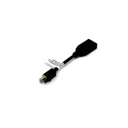 Adapter Mini DisplayPort v DisplayPort, z zaklepom, 0.1m, PNY