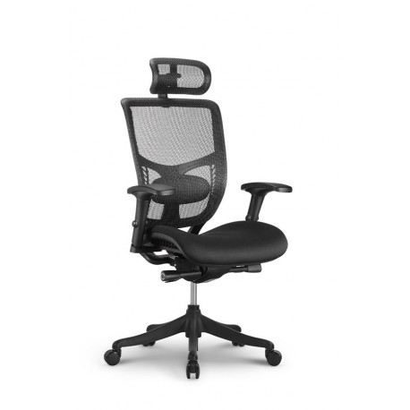 Pisarniški stol Ergovision ERG Pro, črna