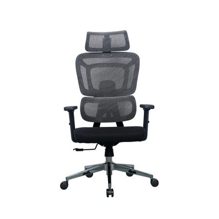 Pisarniški stol Ergovision Apollo, siv