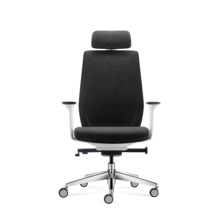 Pisarniški stol Ergovision COMFORT, siva