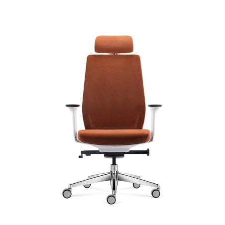 Pisarniški stol Ergovision COMFORT, oranžna