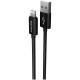 Kabel CANYON MFI-3, Lightning v USB kabel za Apple, 1m, črn