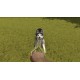 Igra House Flipper - Pets Edition (Playstation 4)