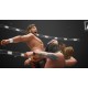 Igra AEW: Fight Forever (PC)