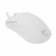 Miška WHITE SHARK GRAPHENE bela, GM-5014