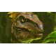Igra Ark: Survival Ascended (Playstation 5)