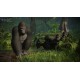Igra Planet Zoo - Console Edition (Playstation 5)