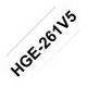 Nalepke Brother HGE261V5, 36mmx8m (5 pack)