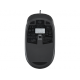Miška USB laserska HP 1000 (QY778AA), črna
