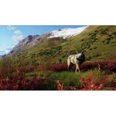 Igra Way Of The Hunter - Wild Expeditions (Playstation 5)
