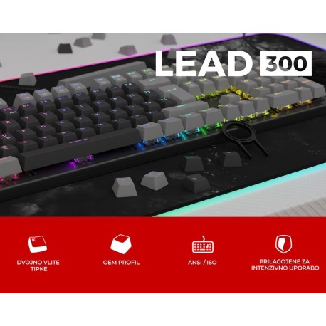 Tipke za tipkovnico GENESIS LEAD 300, 106 tipk, US, sive