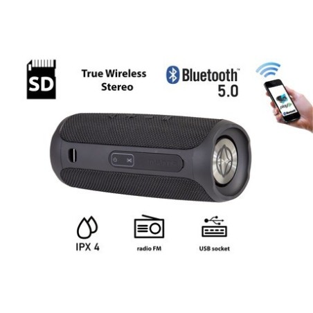 Zvočnik Manta SPK130GO, 10W, črn