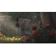 Igra Bye Sweet Carole (Nintendo Switch)