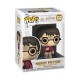 Figura FUNKO POP HP: HP ANNIVERSARY- HARRY W/THE STONE