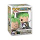 Figura FUNKO POP ANIMATION: ONE PIECE - RORONOA ZORO
