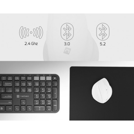 Miška Natec CRAKE 2, ergonomska