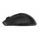 Nahrbtnik za prenosnik HP Everyday, 16.1", siv