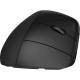 Miška Miška HP 925 ergonomska pokončna