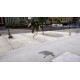 Igra Skater XL (Nintendo Switch)