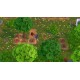 Igra My Universe: Green Adventure - Farmer Friends (Nintendo Switch)