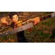 Igra Fire Emblem Warriors: Three Hopes (Nintendo Switch)