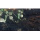 Igra Xenoblade Chronicles 3 (Nintendo Switch)