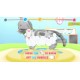 Igra Pups & Purrs Animal Hospital (Nintendo Switch)