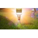 Igra Dragon Quest Treasures (Nintendo Switch)