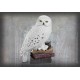 Figura NOBLE COLLECTION - HARRY POTTER - MAGICAL CREATURES - HEDWIG
