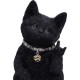 Figura NEMESIS NOW METALLICAT