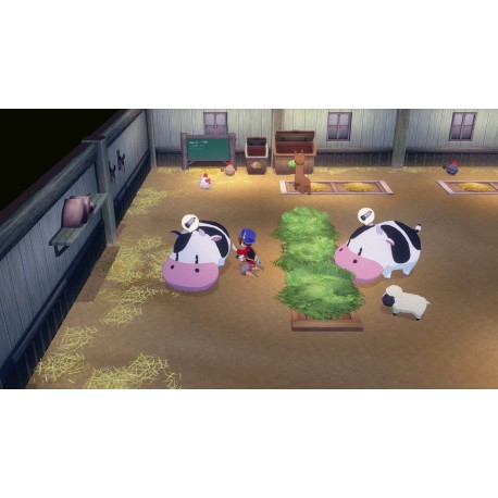 Igra STORY OF SEASONS: Grand Bazaar (Nintendo Switch)
