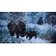 Igra Planet Zoo - Console Edition (Xbox Series X)