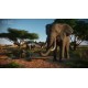 Igra Planet Zoo - Console Edition (Xbox Series X)