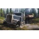 Igra Spintires: MudRunner - American Wilds Edition (Switch)